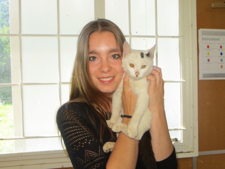 Tipsy, onze schoolkat! 