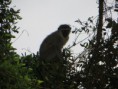 /album/fotogallerij/img-0016-jpg/