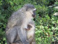 /album/fotogallerij/img-0449-jpg/
